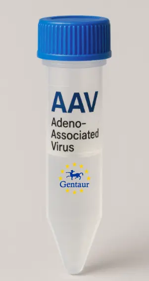 BCKDHA AAV Vector (Mouse) (CMV)